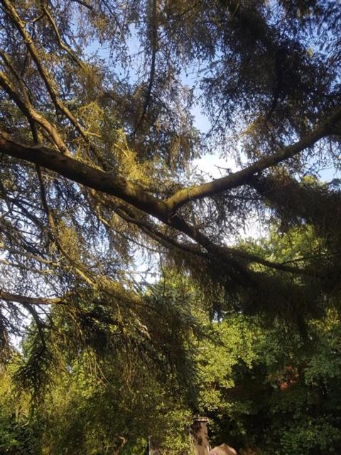 Lodge 'De Groene Parel' Schoorl Bagian luar foto