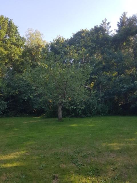 Lodge 'De Groene Parel' Schoorl Bagian luar foto