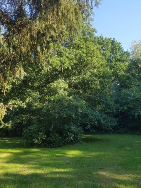 Lodge 'De Groene Parel' Schoorl Bagian luar foto
